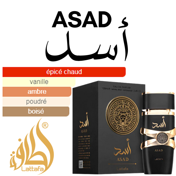 Asad – Lattafa – Eau de parfum 100ml (3)