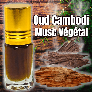 Oud Cambodi élixir de Parfum Musc Végétal - 3ml